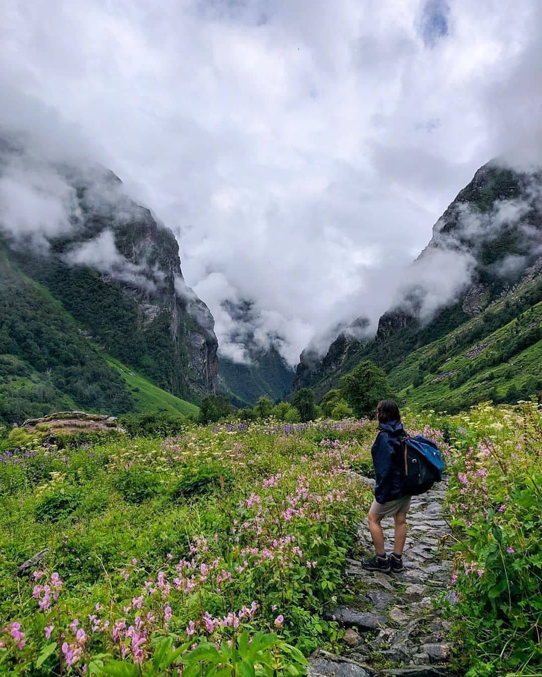 Trekker overlooking a flower-filled Himalayan valley