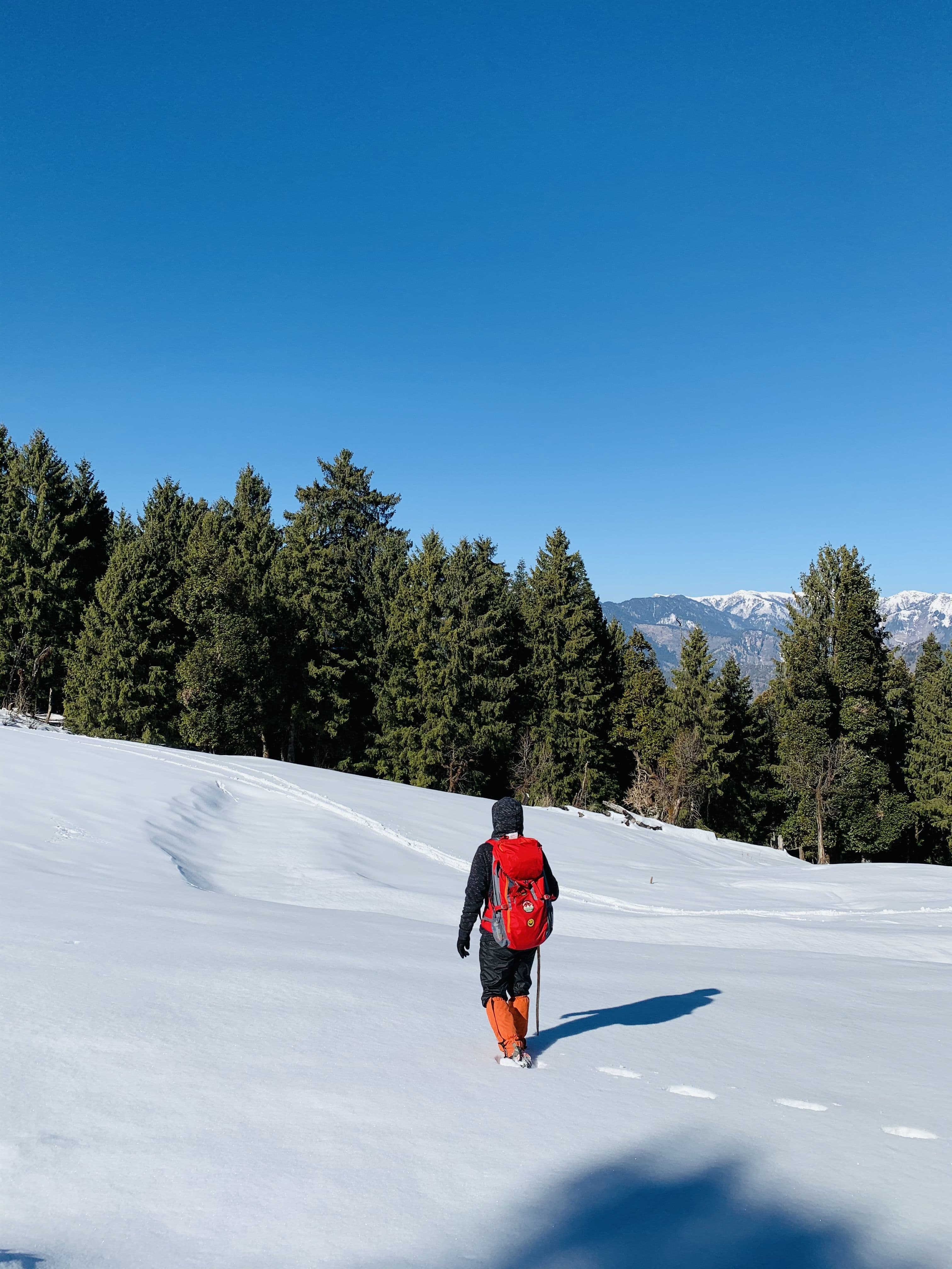 Himalayan trekking moment 11